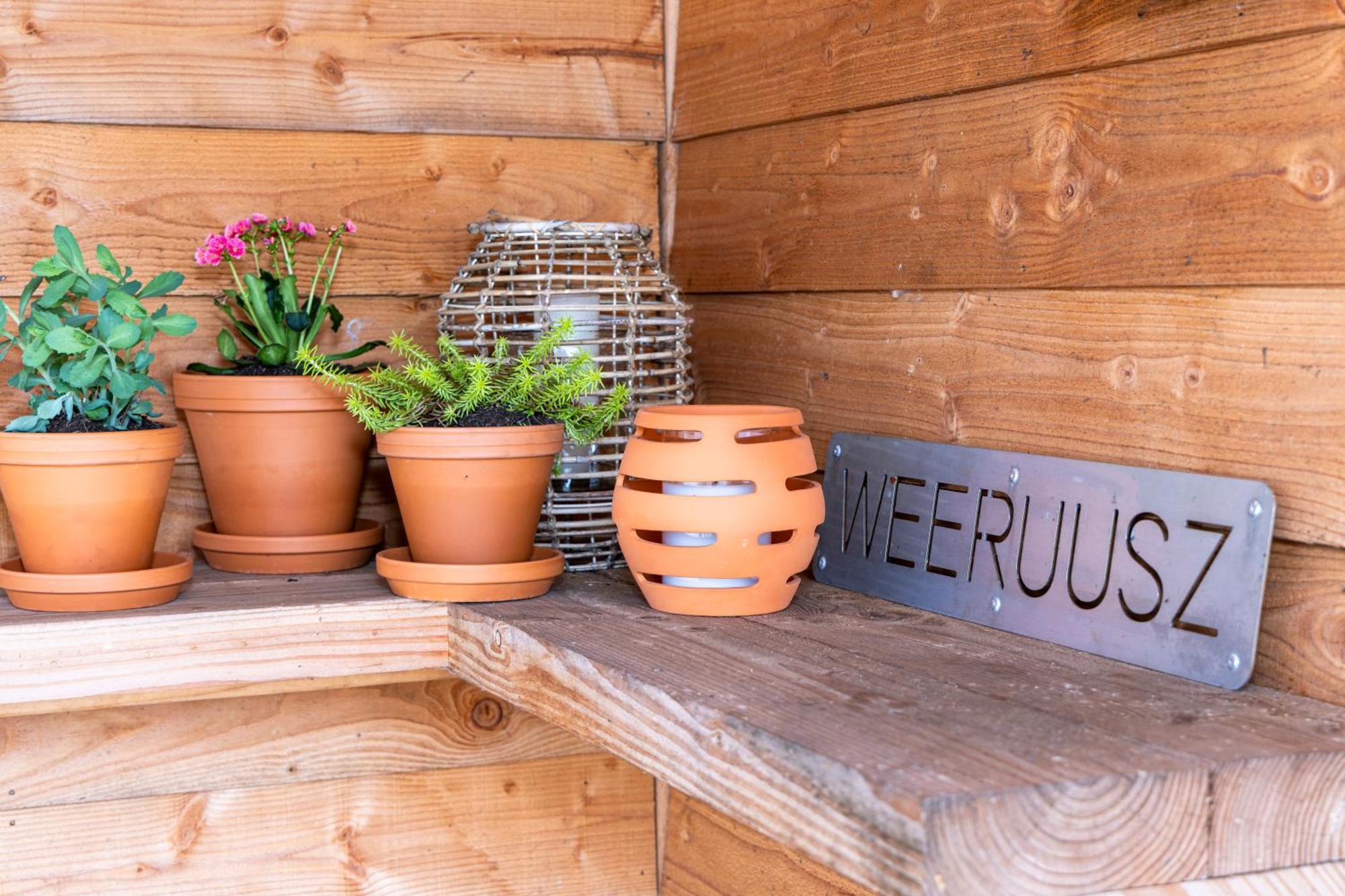Kolderwolde Weeruusz Bed & Breakfast エクステリア 写真
